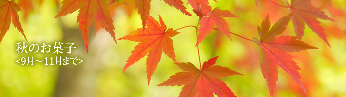 秋(9月~11月)の商品